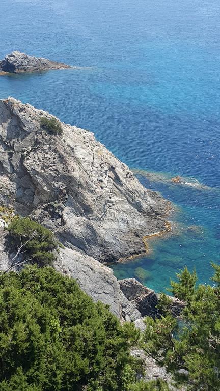 Bed & Breakfast Provencale 3*